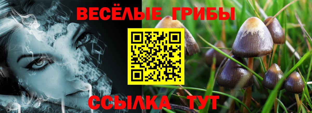 цена наркотик  Псилоцибиновые грибы Magic Shrooms  Вход с VPN  Ухта 
